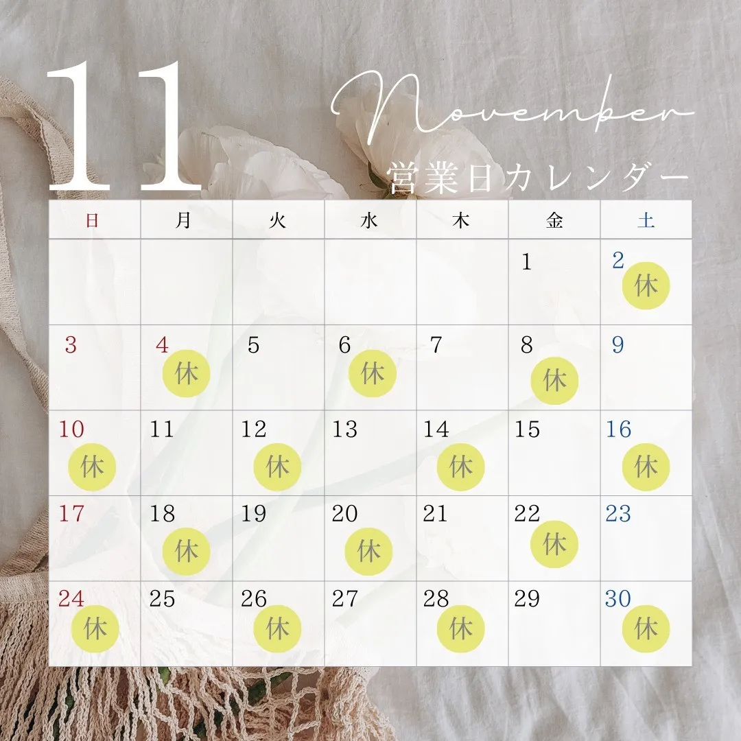 １１月に授業が受けられる日の紹介です。